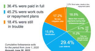 Mortgage Forbearance Options